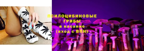 круглые Абаза