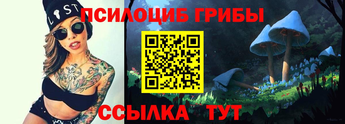 сколько стоит  Псилоцибиновые грибы MAGIC MUSHROOMS  Вход с VPN  Назрань 