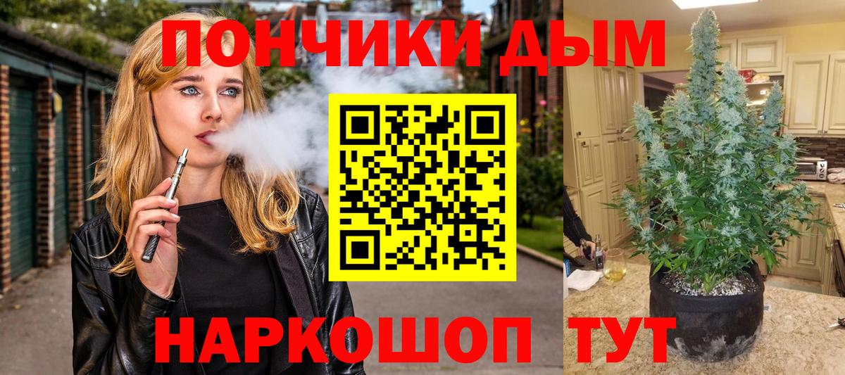 Бошки Шишки тримм  МАРИХУАНА сатива  Вход с VPN  Назрань 